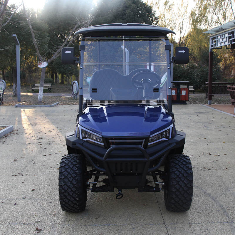 BUGGYPRO GOLF CART