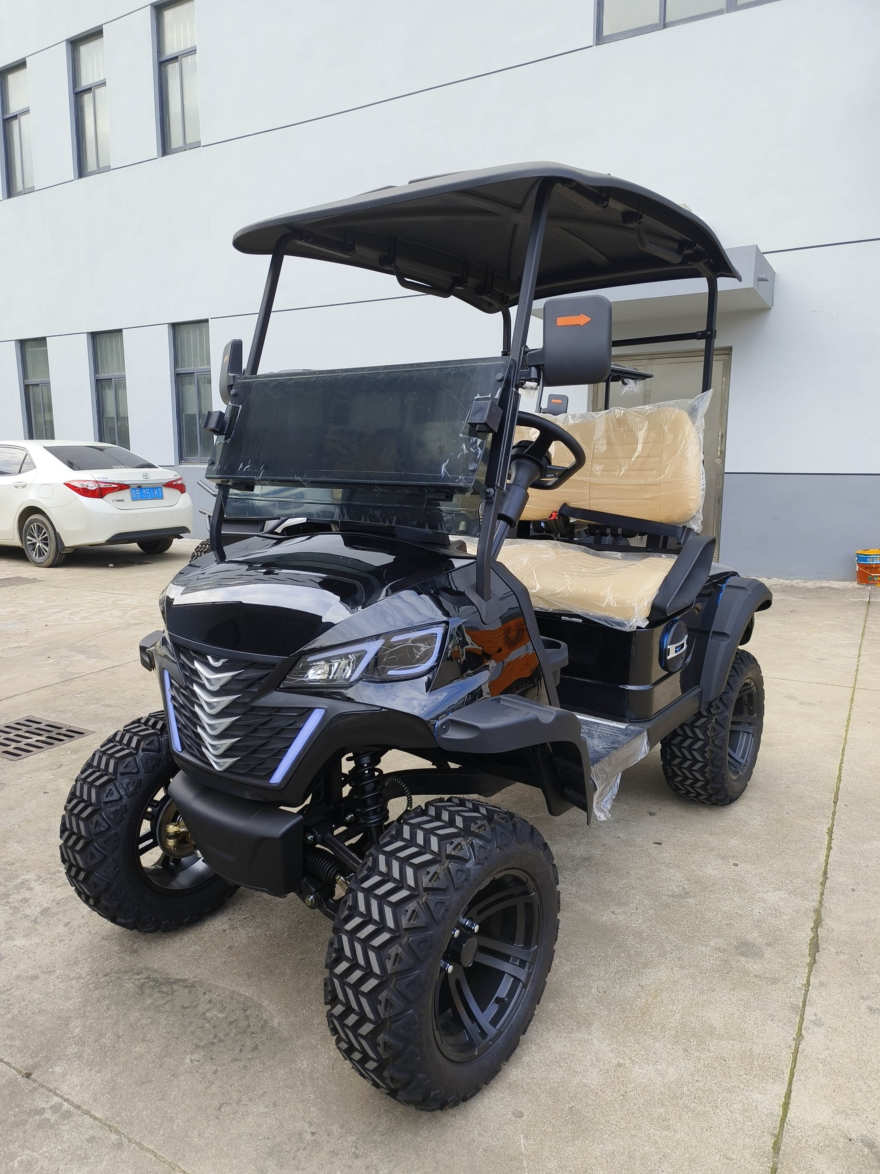 BUGGYPRO GOLF CART