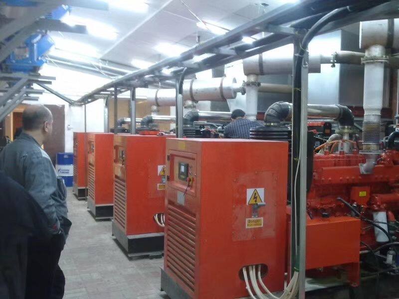 300kw 400kw Natural Gas Generator Set