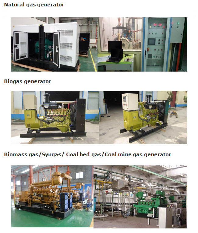 300KW Natural Gas Electric Generator Manufacturer