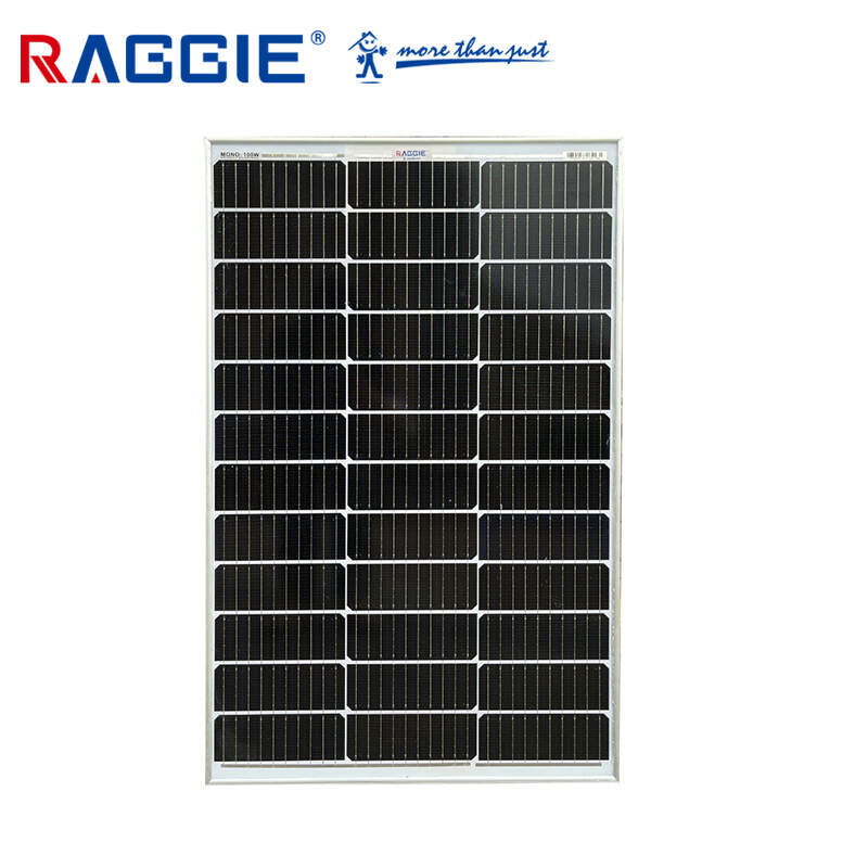 RAGGIE Solar Renewable Energy Mono 100W Solar Panel For House Use