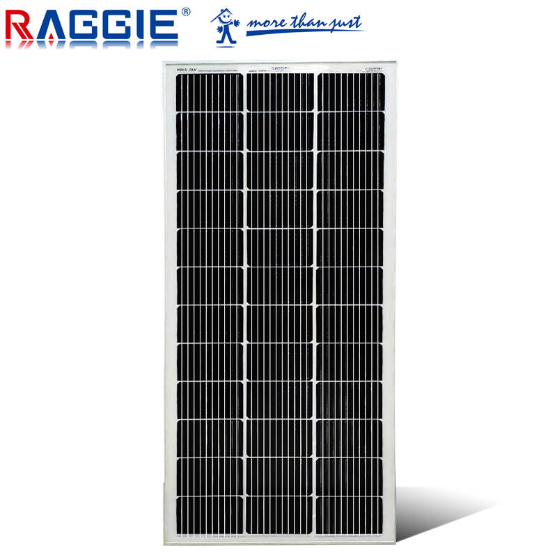 RAGGIE 170W Solar Panel  mono solar panel with CE certificate