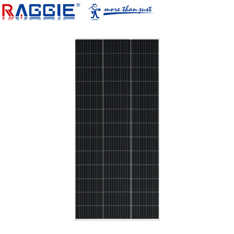 RAGGIE mono solar panel 180W PV module