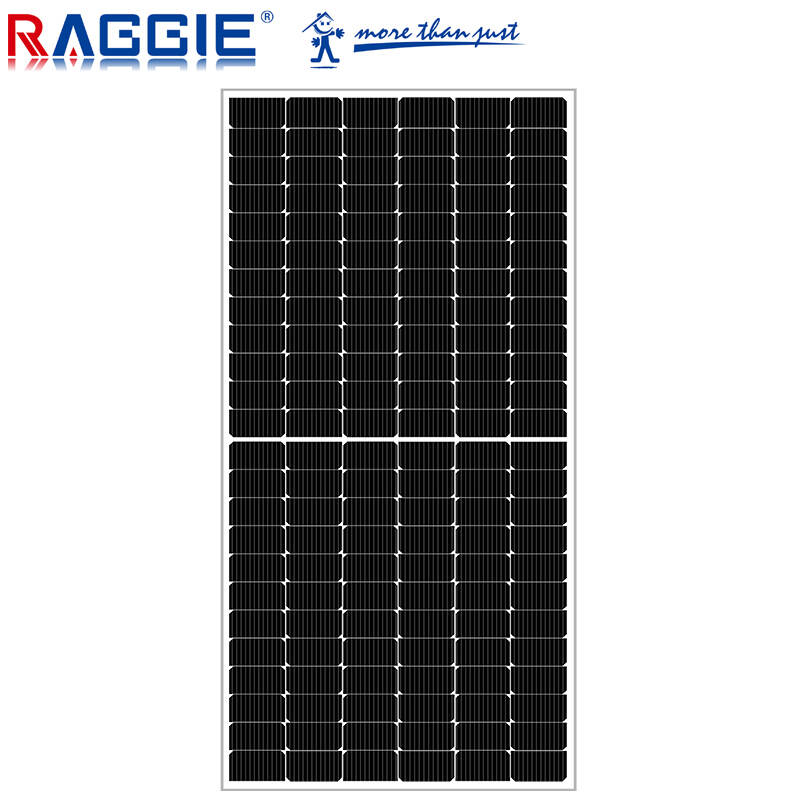 RAGGIE high efficiency mono pv module solar panel 550W for home use