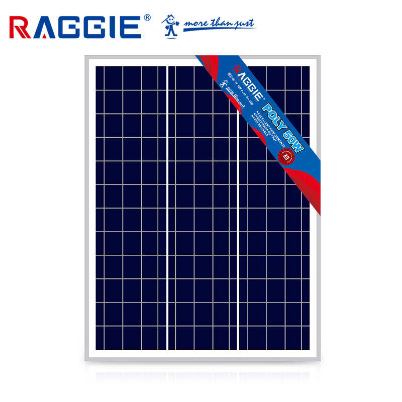 RG-P50 50W Polycrystalline Solar PV Modules