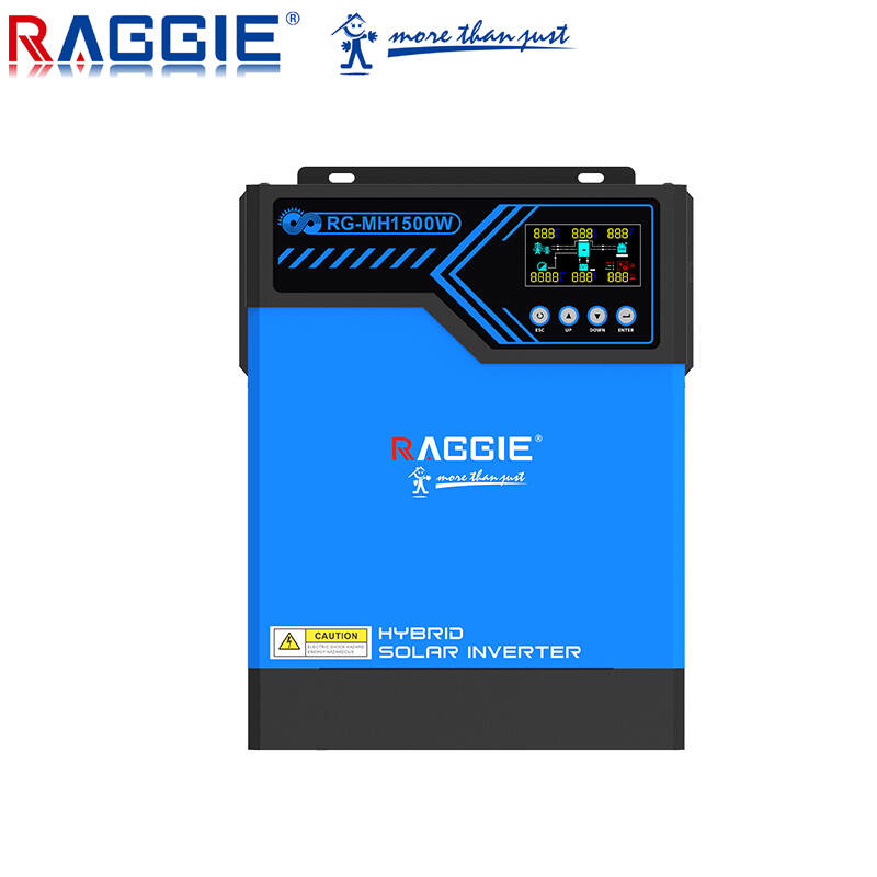 RAGGIE RG-MH1500 1500W pure sine wave inverter 24V  hybrid inverter with mppt solar  charge controller