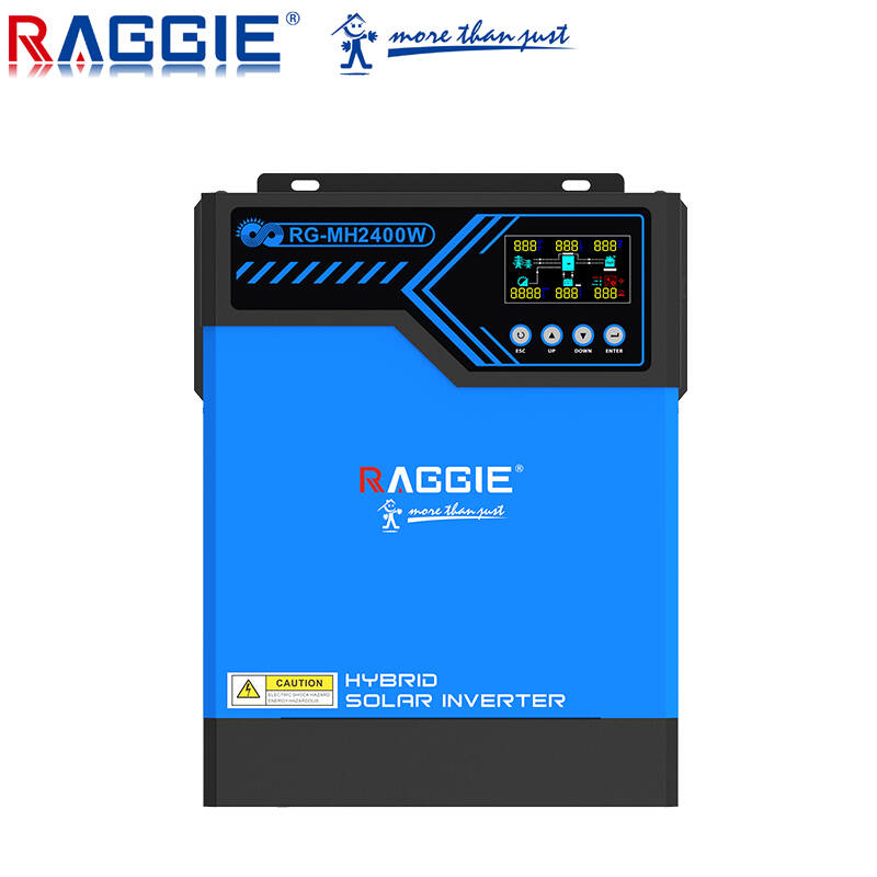 RAGGIE RG-MH2400 24V off grid solar inverter 2400W hybrid inverter 3000W solar inverter