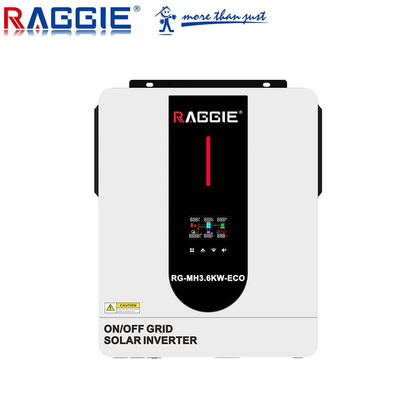 RAGGIE RG-MH3.6kw power inverter 3600w off grid solar power inverter hybrid power inverter dc 24v ac 220v