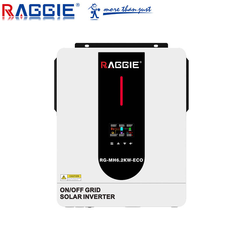 RAGGIE RG-MH6.2KW  48V single phase solar inverter 6200w off on  grid solar power inverter hybrid power inverter