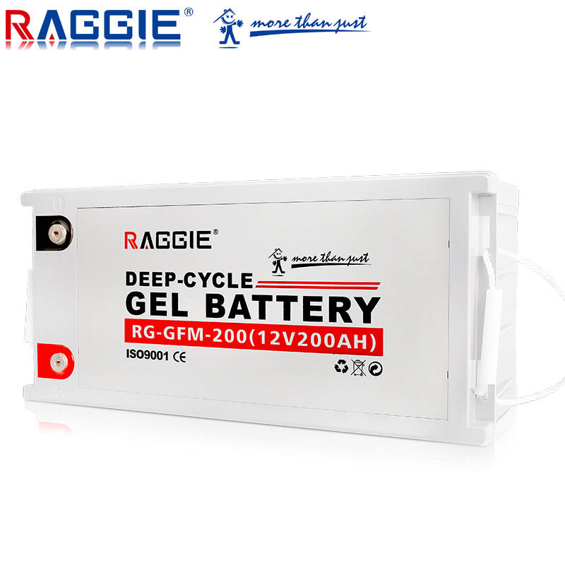 RAGGIE 12V battery 12v 200AH gel battery sealed 100ah 150ah battery 250ah deep cycle lead acidd battery