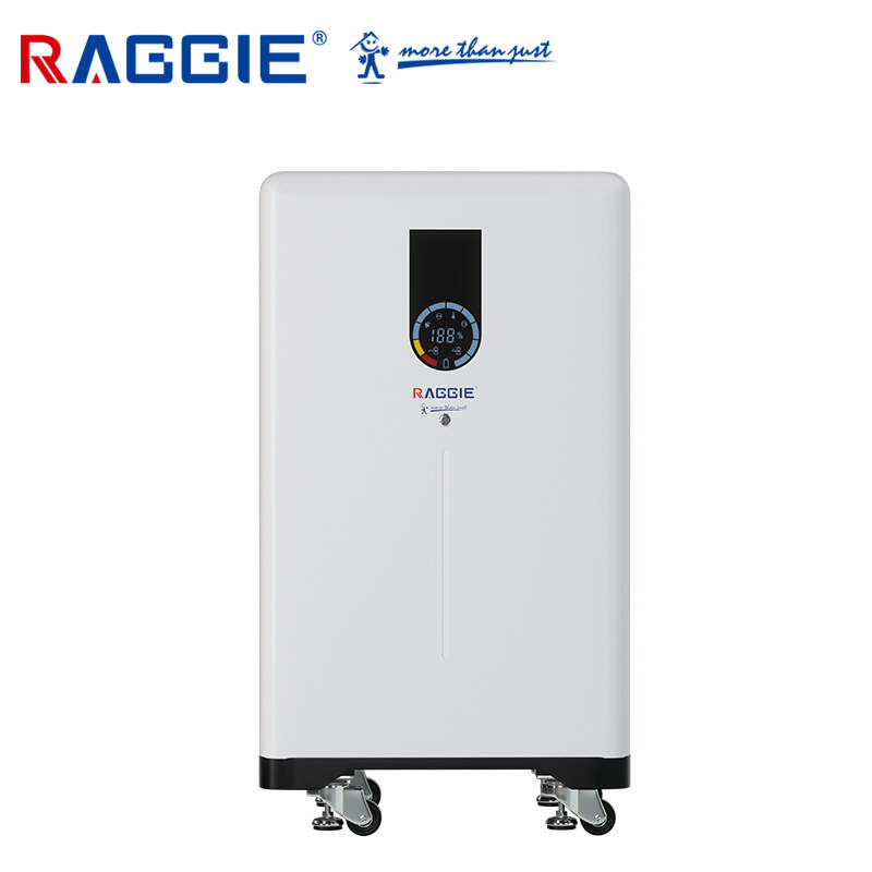 RAGGIE EVE lithium battery 15KWH 300AH solar energy storage lithium battery lifepo4 51.2V