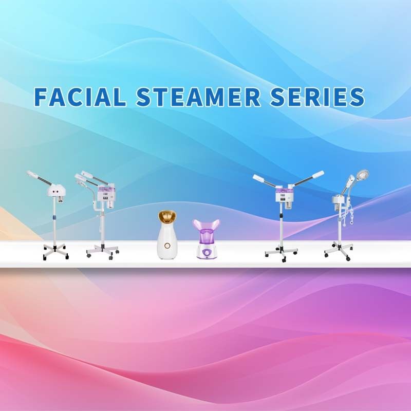 STEAMME FACIALE HANDELD OEM, STAW STRUILLE HUT MURS FACIAL, VENTE PORTABLE PORTABLE PORTABLE