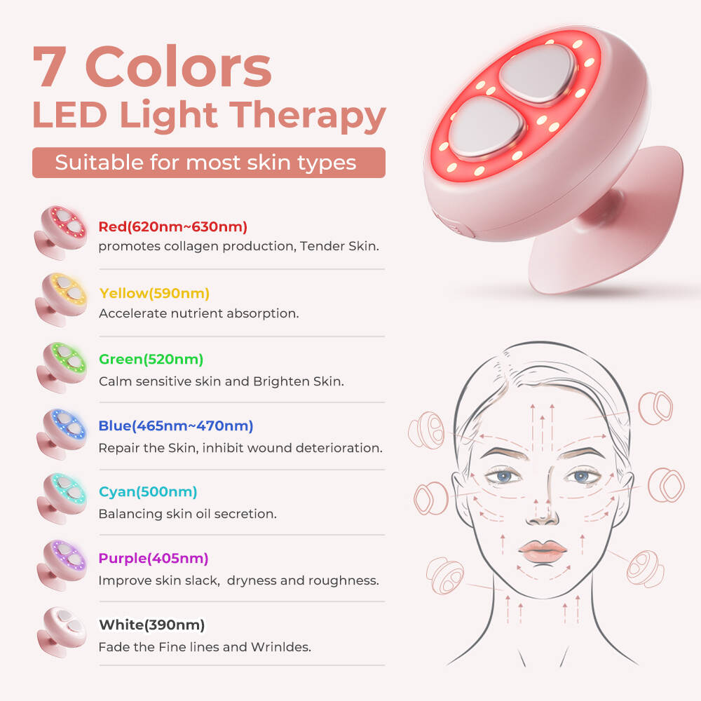 Herramienta de masajeador facial, 3 en 1 LED EMS Calefacción Massorger, Professional Massager Products