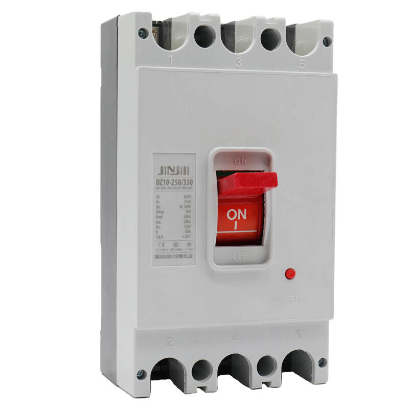 Moulded Case Circuit Breakers-DZ10 white shell