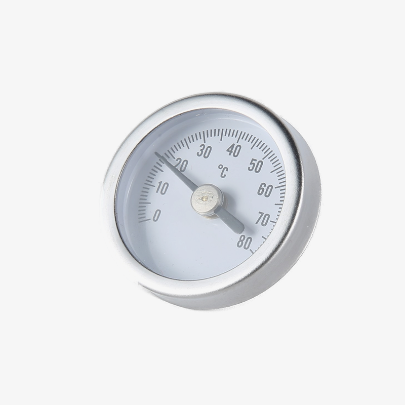 Standard Dry Type Thermometer-S/S