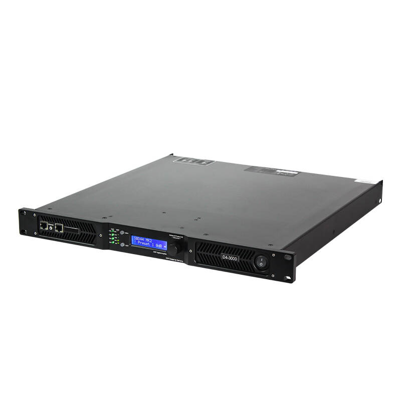 D4-3000 DSP 8 Ohms 4 Channel 3000W Pa Class D Power Amplifier