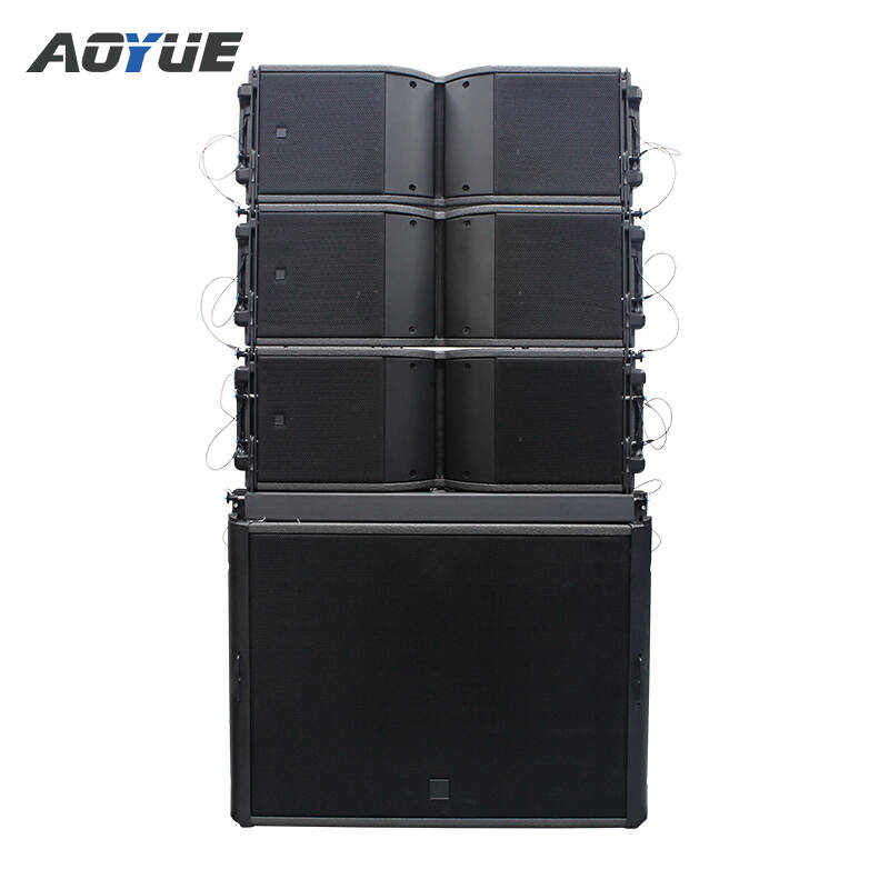 Double 10 Inch Line Array with 18 Inch Powered Audio System