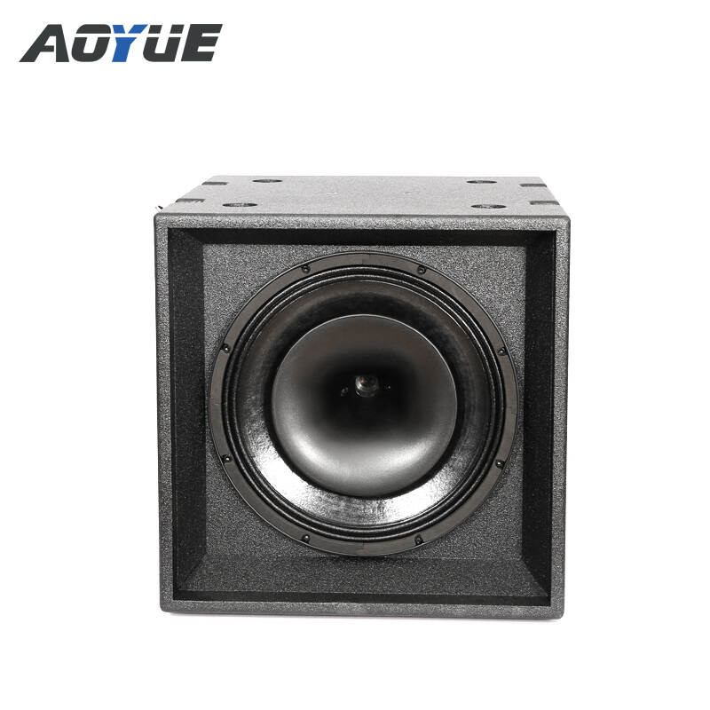 D-400S Coaxial Speaker