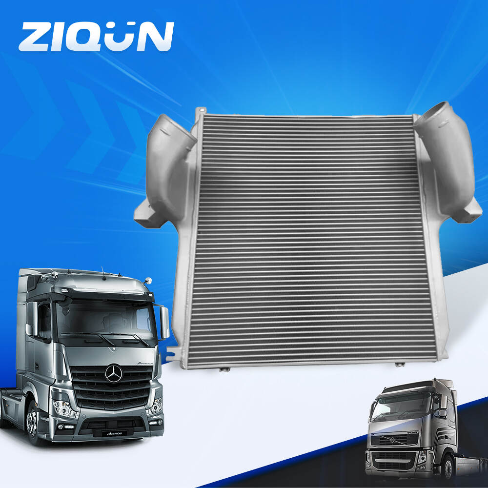 Auto Engine Parts 9425010201 Intercooler for Mercedes Benz Actros Truck