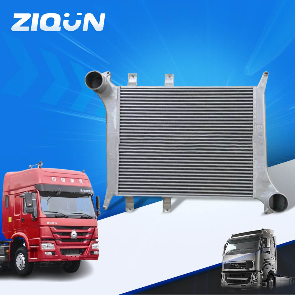 Auto Engine Parts WG9725530130 Intercooler for Sinotruk Howo Truck