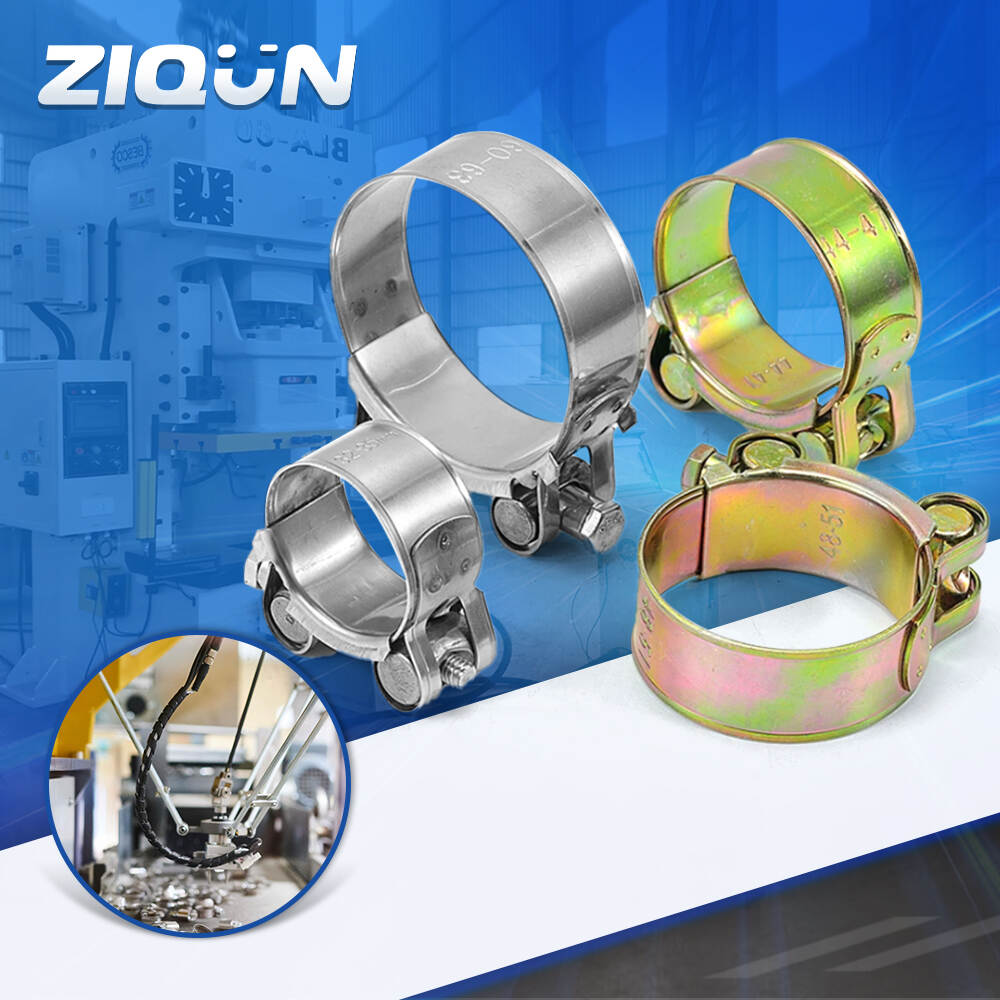 European Type Hose Clamp