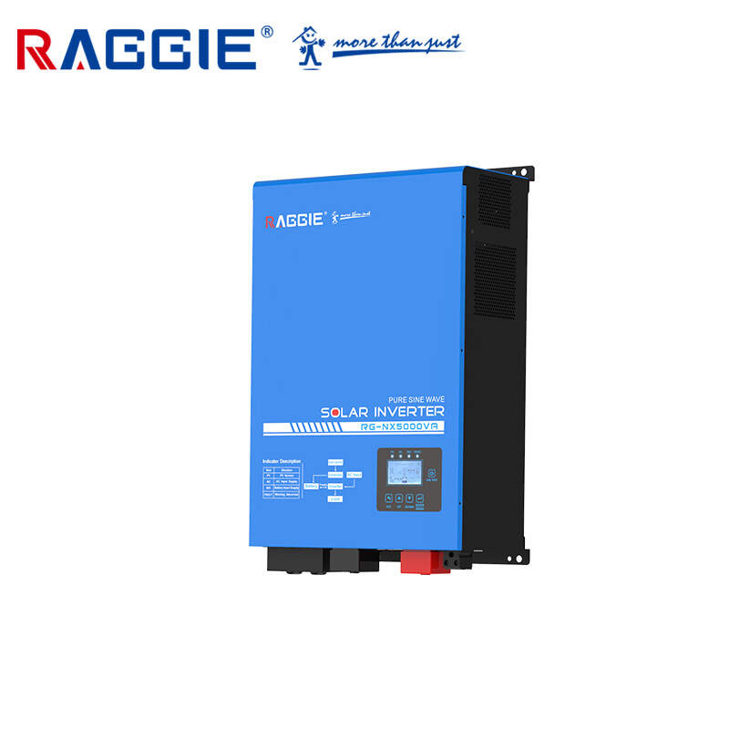 RG-NX Series Low Frequency Hybrid Inverter (3-7KVA)