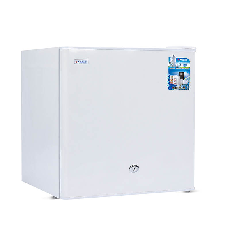 RG-HG50T Single-Door Solar Refrigerator (50L)