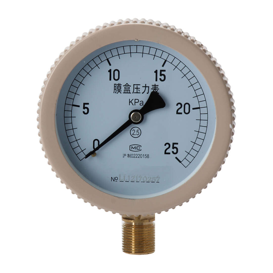 YE100 100mm Capsule Pressure gauge