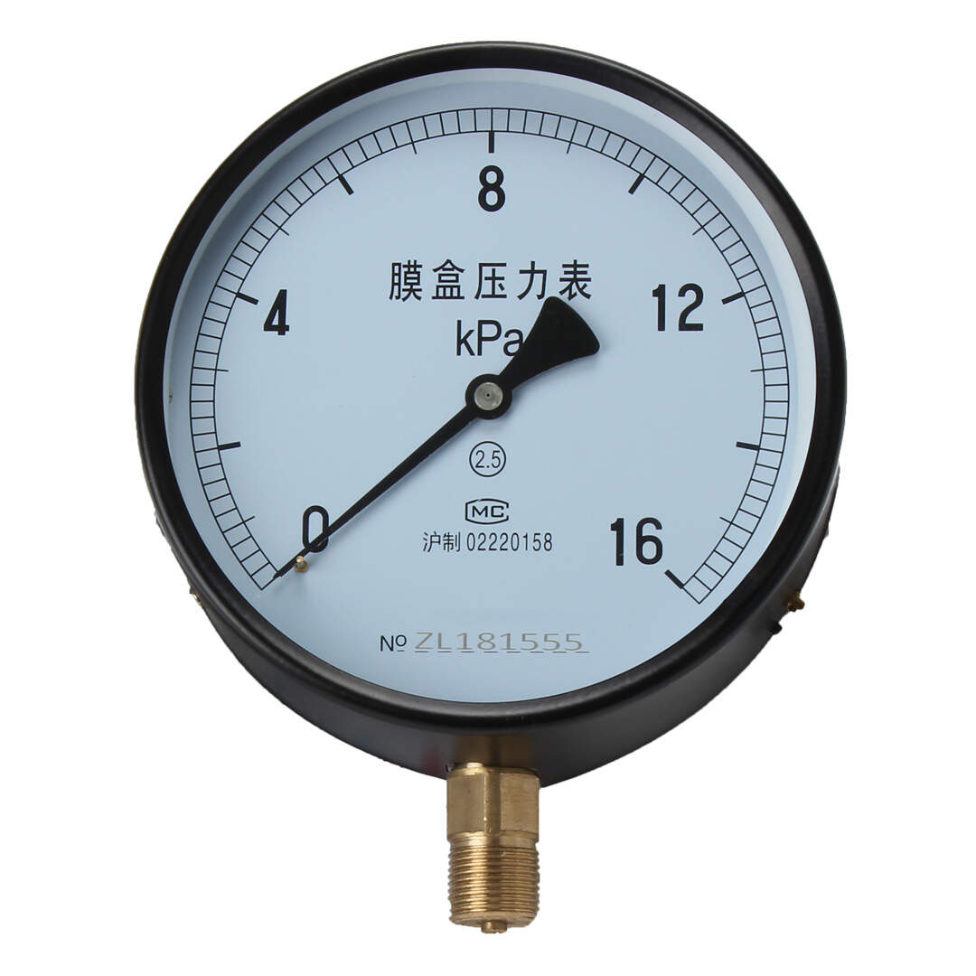 YE150 Stainless Steel Capsule Pressure gauge