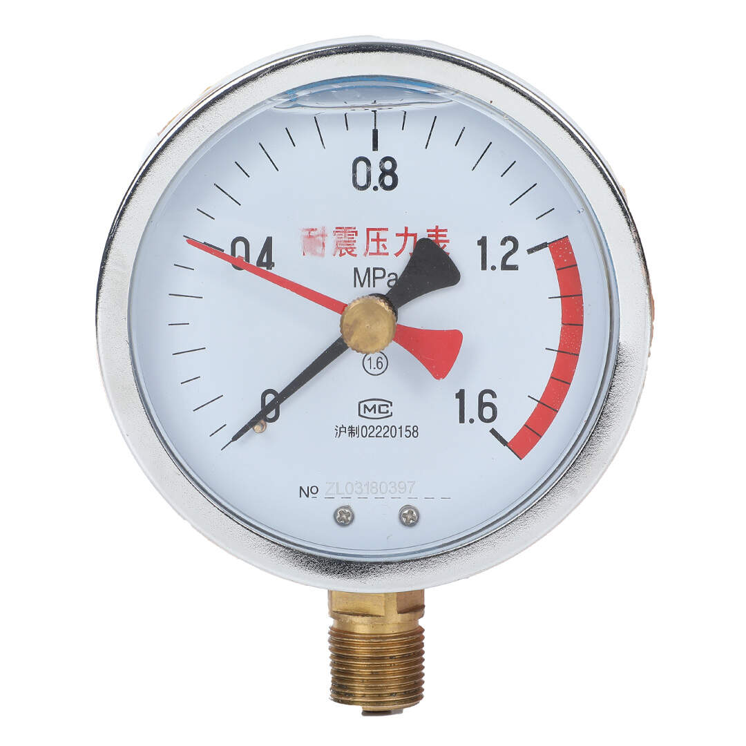 YJN100 Memory Shock-Proof Pressure Gauge Double Needle