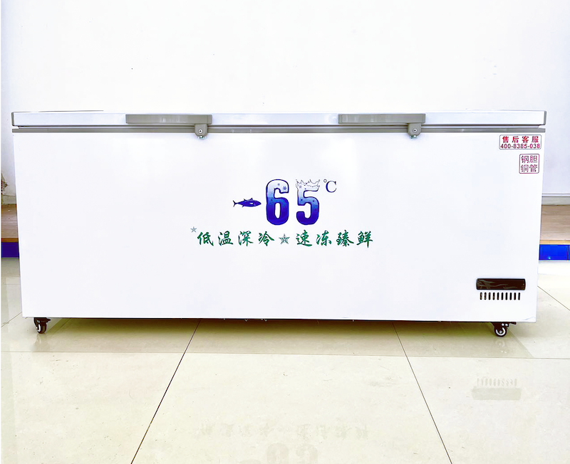 -65°Deep Freezer