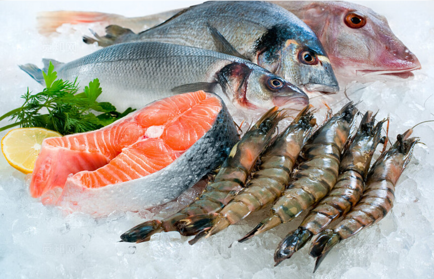 Using ozone technology to extend seafood freshness and keep fresh seafood at your fingertips!