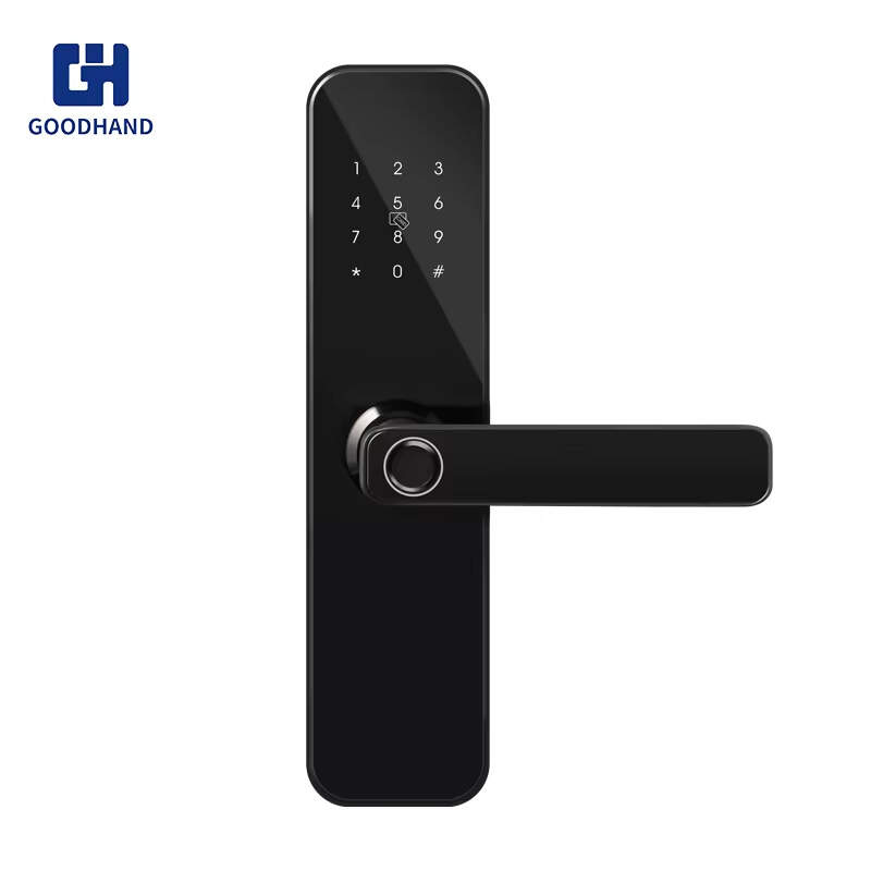 Security Outdoor lock, Smart Biometric Fingerprint Door Lock, Intelligent digital Lock, furniture safety lock, cabinet biometric lock, zinc alloy cylinder lock, office digital lock, bathroom security lock