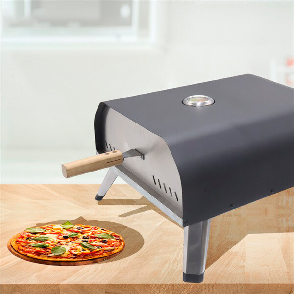 professional gas pizza oven