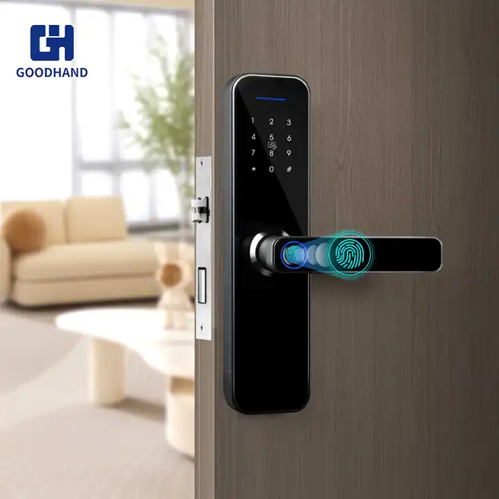 Fingerprint Locks,electronic Handle Home Locker,Apartment lock