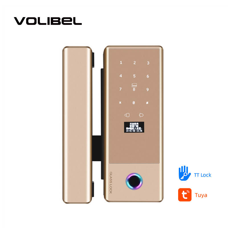 High Quality Digital Card Fingerprint Tuya App Ttlock Intelligent Sliding Door Smart Glass Door Lock