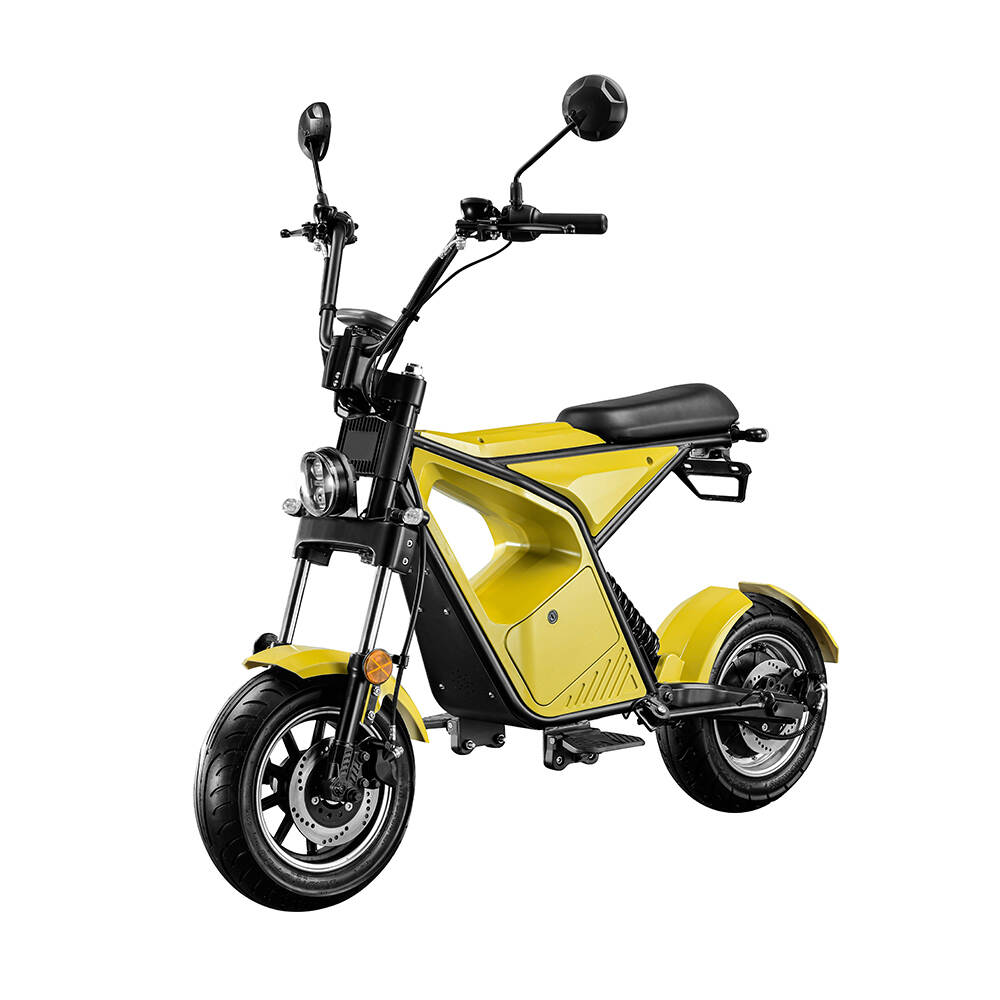 LUQI L4 1000W Lithium Battery Lightweight Long Range Electric Scooter for Adults