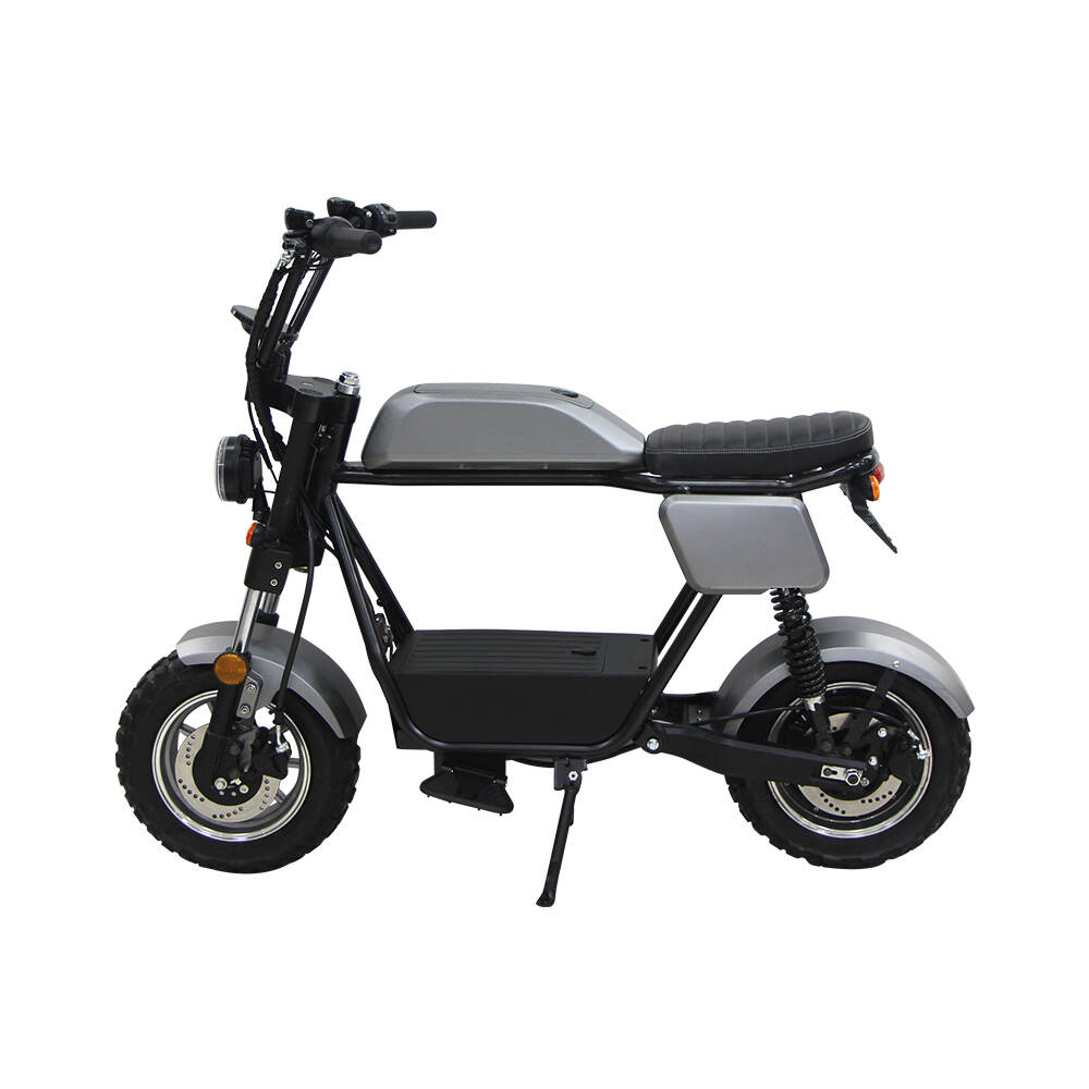 Electric Scooter; Adult Electric Scooter; Lithium Battery Electric Scooter; 1000w Electric Scooter