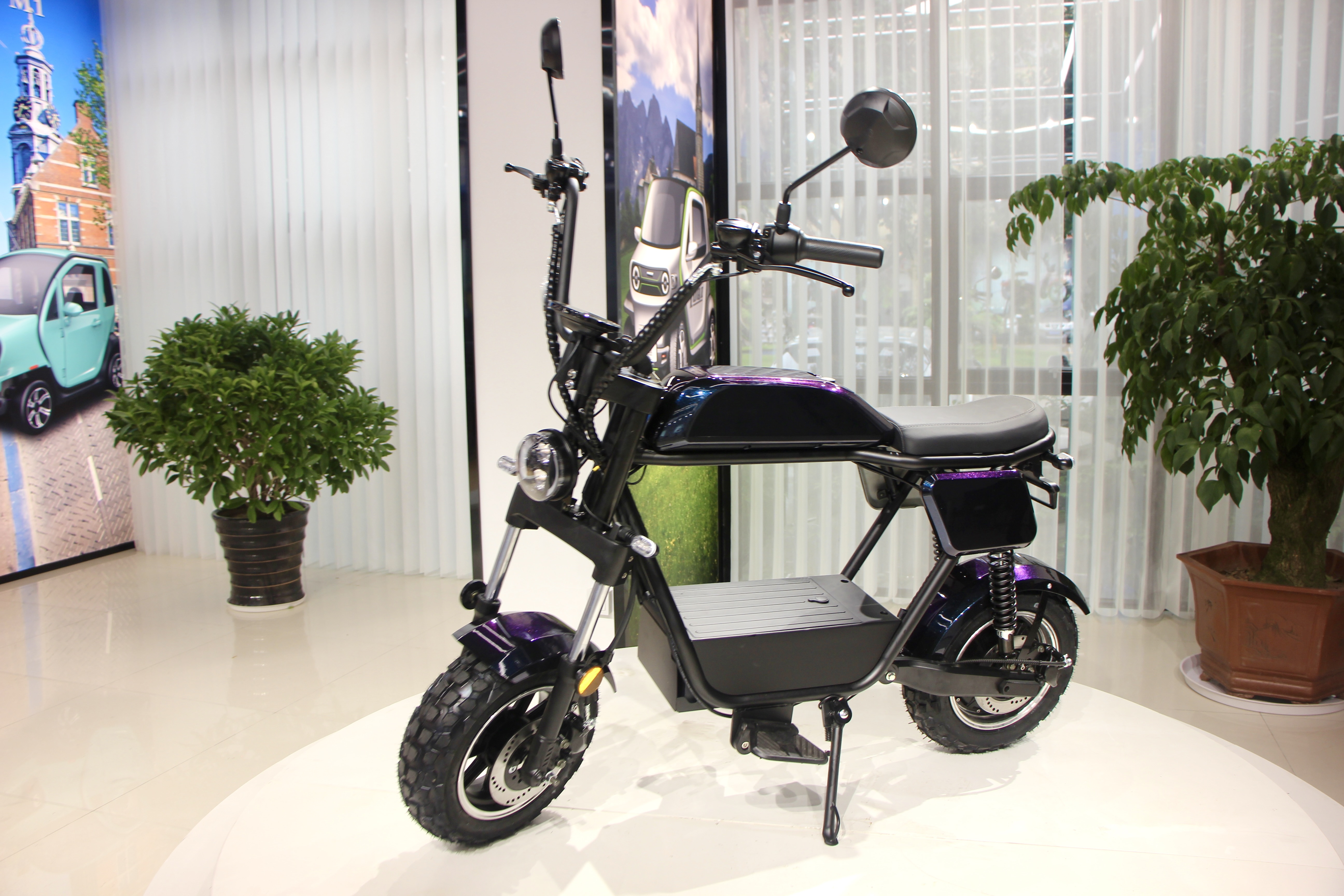 Electric Scooter; Adult Electric Scooter; Lithium Battery Electric Scooter; 1000w Electric Scooter