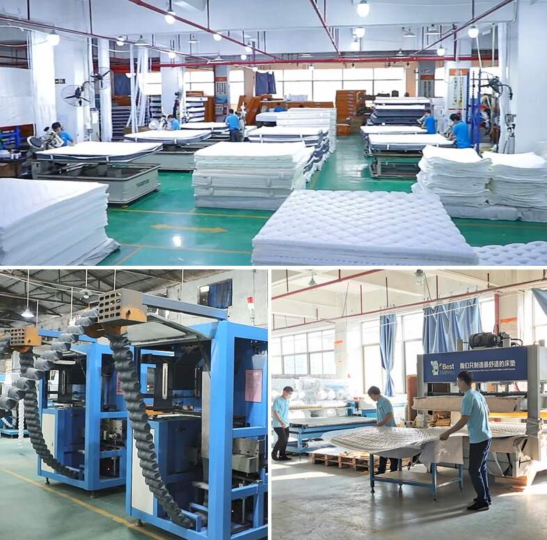 leizi mattress factory 2(1).png