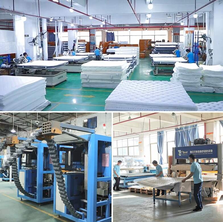 leizi mattress factory 2(1).png