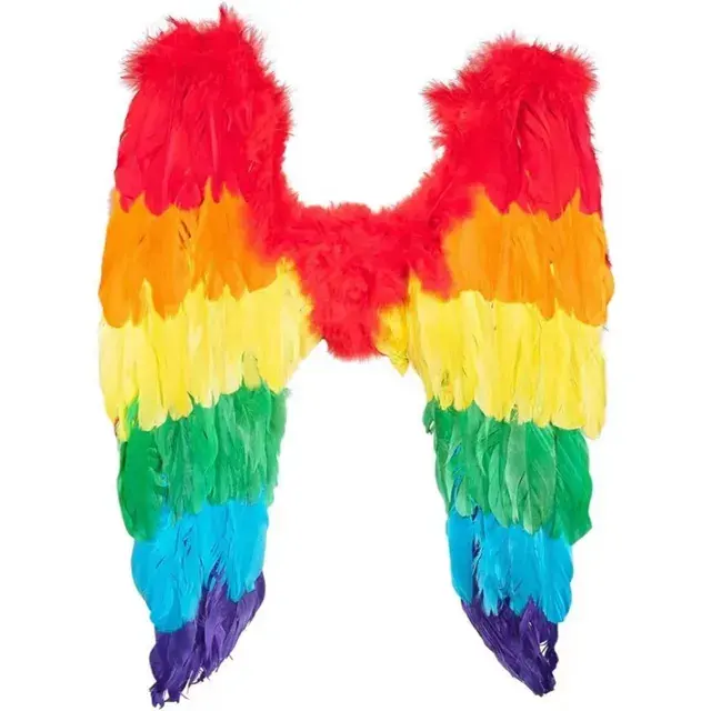 Pride Rainbow Angel Feather Wings