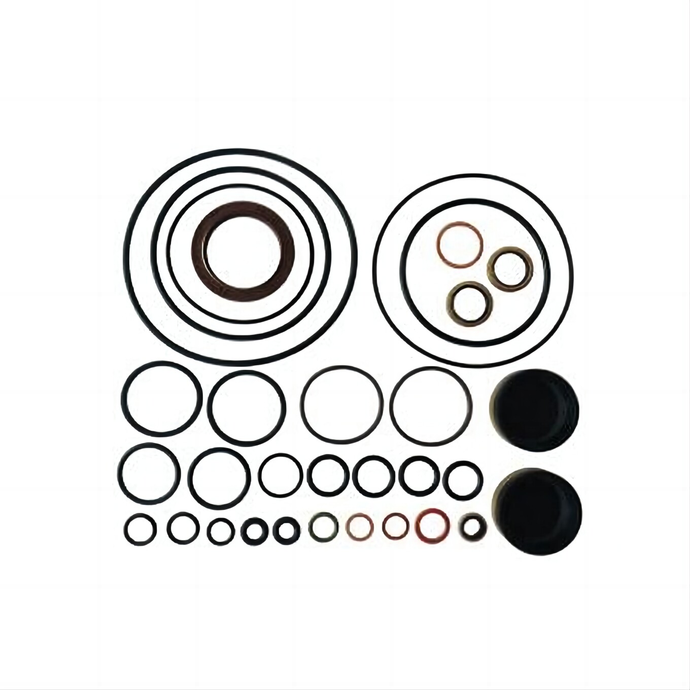 402506 COMMON RAIL REPAIR KITS FOR CP2