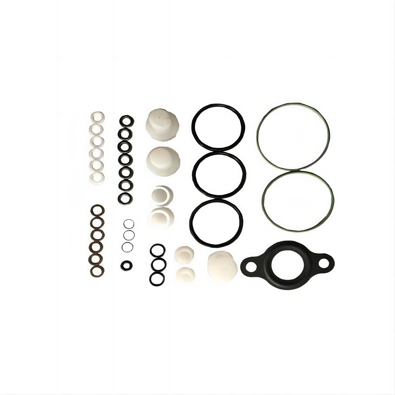 401455 COMMON RAIL REPAIR KITS FOR CP1(F01M101455)