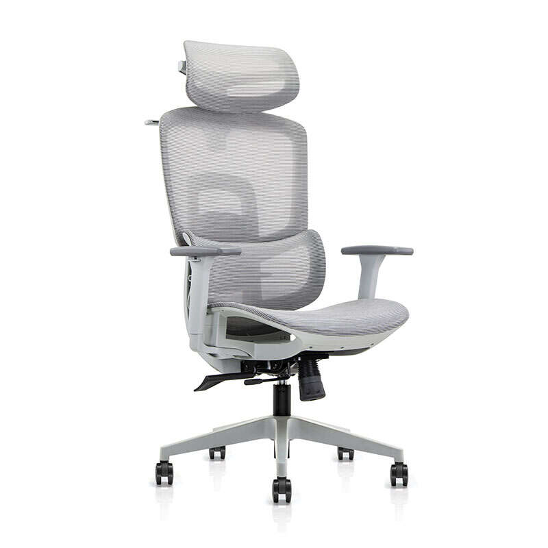 PDS6248A-HS Ergonomic Executive Chair