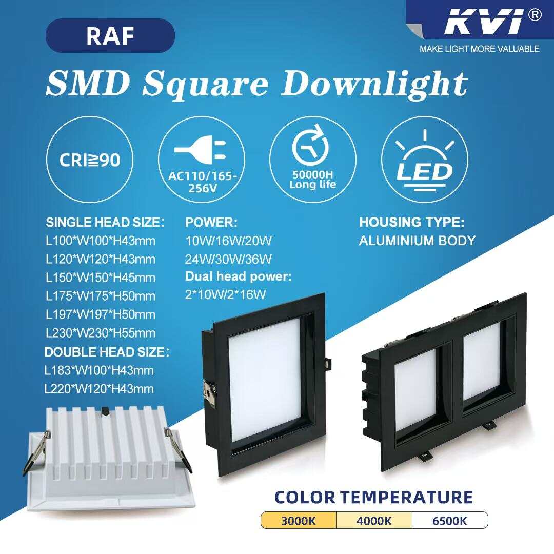 Flexible lighting new choice, single/double head die cast aluminum downlights launched