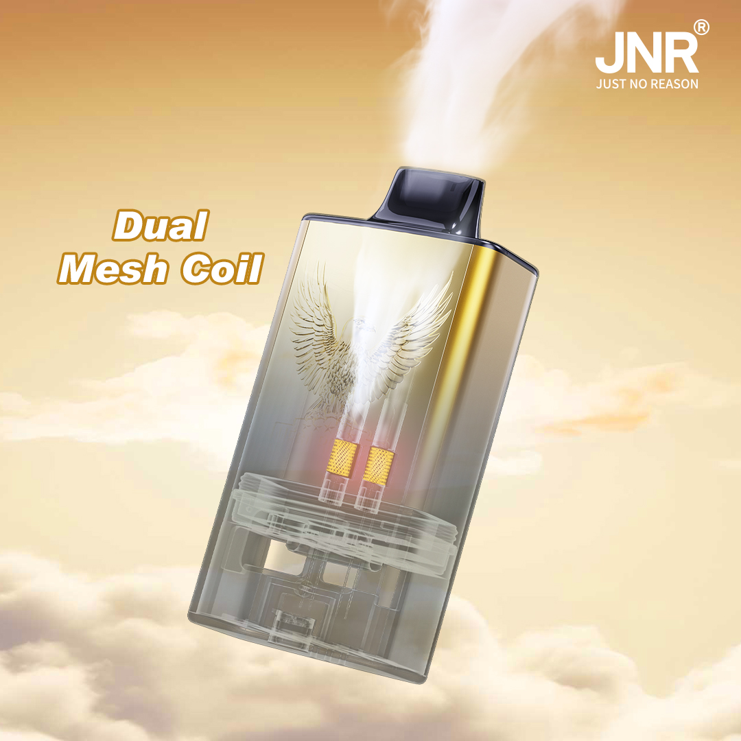 Jnr Mega Box Pro, Jnr Mega Box Pro 50000 Puffs, Jnr Site Officiel, Jnr Vape, Jnr Vapes, einfach kein Grund Vape, nur kein Grund, Jnr nur kein Grund, kein Grund, ein Großhandelsgeschäft jnr vape, jnr vape en gros, bulk ordnr jnr haltbar Vape, Jnr Puff, Jnr Puff Grossiste, Puff Jnr en Gros, Jnr Vape Großhandel