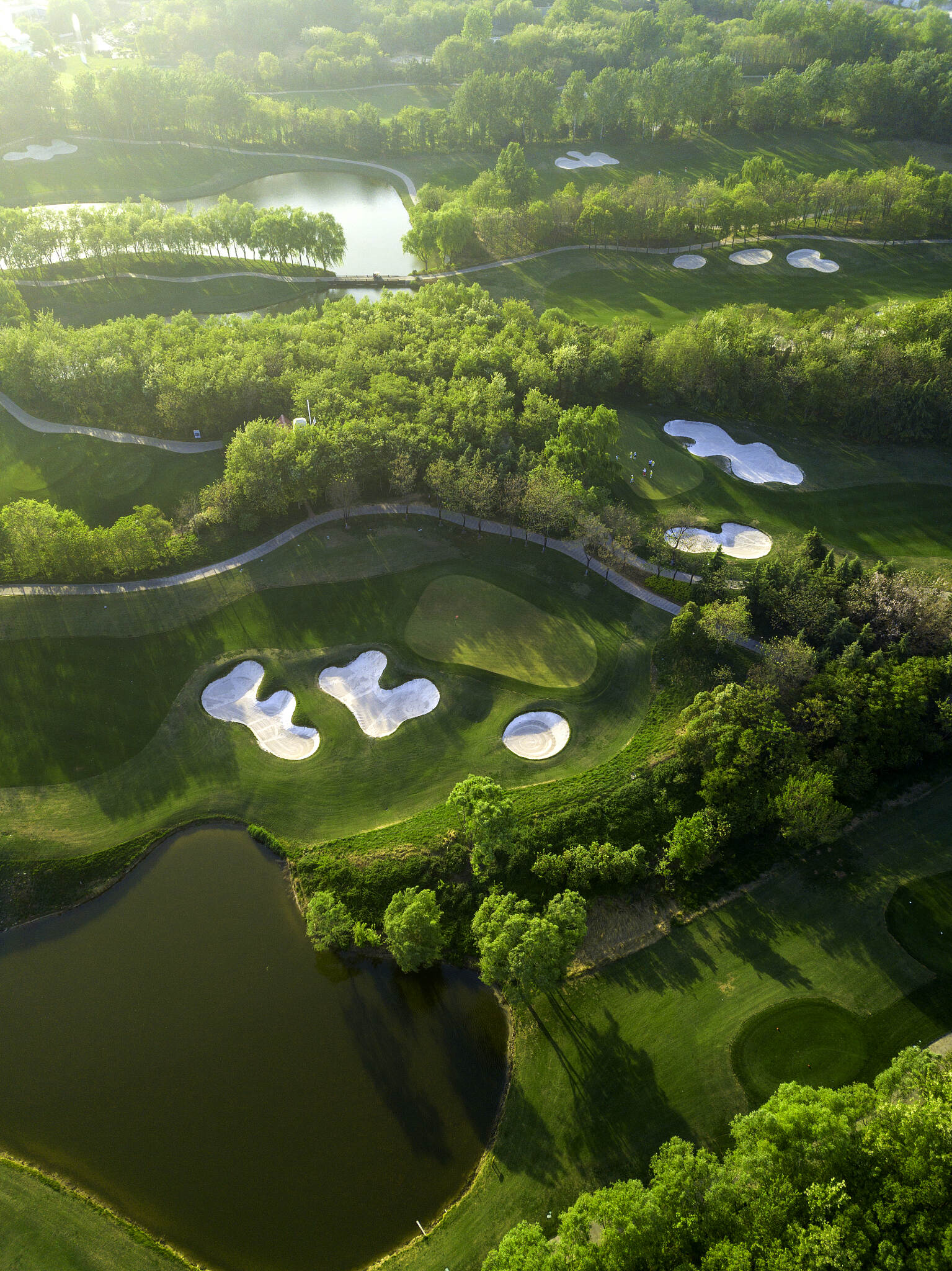 Decoding the 18-Hole Golf Course: Design Secrets & Strategic Layouts