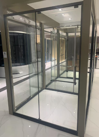 Shower Partition