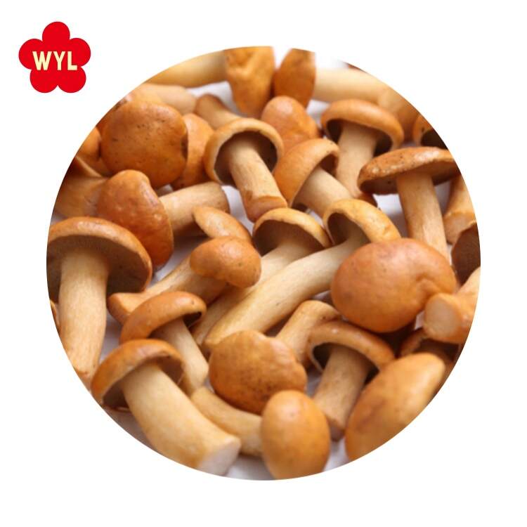 Frozen Champignons-Copy
